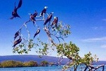 8 Day Galápagos Island Hopping with Quito