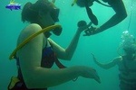 Adventure SNUBA in St. Maarten