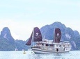 Halong Bay Cruise With Viola Cruise 2days 1night