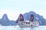 Halong Bay Cruise With Viola Cruise 2days 1night
