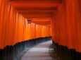 Exploring Kyoto - (Rakunan) South