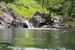 Vermont Nature Trail - Private Tour