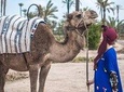 Marrakech camel ride in the Oasis Palmeraie