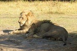 3 Days Central Kalahari Game Reserve, Botswana