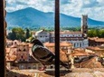 Lucca and Pisa Day Tour from Rome