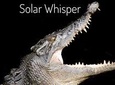 Solar Whisper Daintree River Crocodile and Wildlife Cruise