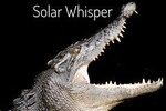 Solar Whisper Daintree River Crocodile and Wildlife Cruise