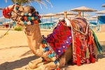 Hurghada City Tour