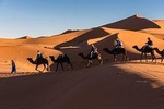 shared sahara desert trip from Marrakech