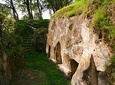 Day Tour in Adadi Mariam