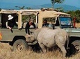 Day tour to Olpejeta Conservancy from Nairobi