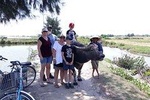 Hoi An Eco Tour: Basket boat ride, buffalo ride, farming and cooking
