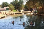 Discovery tour of Southern Tunisia