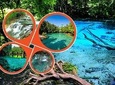 Half Day Jungle Tour to Emerald pool and Krabi Hot Spring