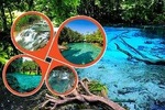 Half Day Jungle Tour to Emerald pool and Krabi Hot Spring