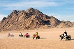 Quad biking with Camel ride &Beduin dinner 