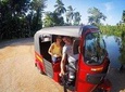 Tuk Tuk Rent In Sri Lanka