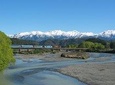 Tranz Alpine Train Tour