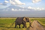 8 days Kenya discovery safari - NAIROBI