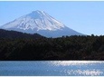 Mt Fuji Area Private Guided Tours in English-Nature up close,quiet,and personal
