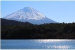 Mt Fuji Area Private Guided Tours in English-Nature up close,quiet,and personal
