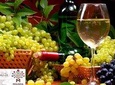8 days:Tour to Moldova "Cultural Country Tour with Wine Celler "