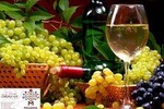 8 days:Tour to Moldova "Cultural Country Tour with Wine Celler "