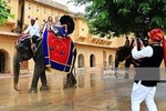 Private - Day Tour of Pink City (Jaipur) 