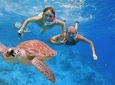 Snorkeling at Mahmya Island from Hurghada