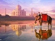 All Inclusive Taj Mahal Day Tour 