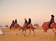 Dubai Desert Safari with Camel Riding and Belly Dance