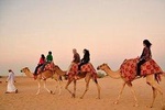 Dubai Desert Safari with Camel Riding and Belly Dance