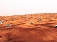 Morning Desert Dune Bashing Safari