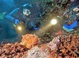 1-Tank guided Night Dive for certified divers with own equipment