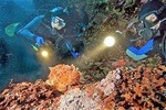1-Tank guided Night Dive for certified divers with own equipment