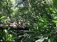 Vermont Nature Trail with Topdawg Taxi and Tours