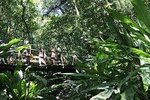 Vermont Nature Trail with Topdawg Taxi and Tours