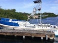 Aruba 2-Tank guided Dive for certified divers with own equipment