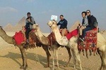 Private sightseeing Tour: Giza Pyramids & Memphis & Saqqara & camel ride