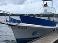 Aruba 2-Tank guided Dive for certified divers with rental equipment