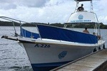 Aruba 2-Tank guided Dive for certified divers with rental equipment