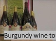 BURGUNDY : Unique Wine Tour from PARIS (Day-trip by TGV - High-speed train)