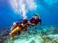 Roatan Scuba Shore Diving plus Transportation