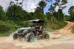 Samui X Quad 4WD Buggy Tour including Lunch