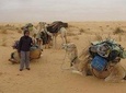 Camel ride and 1 night in the desert