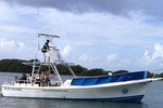 Aruba 1-Tank guided Dive for certified divers with rental equipment