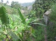 Full Day Santo Antão, day trip, from São Vicente