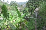 Full Day Santo Antão, day trip, from São Vicente