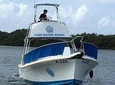 Aruba 1-Tank guided Dive for certified divers with own equipment