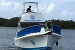 Aruba 1-Tank guided Dive for certified divers with own equipment